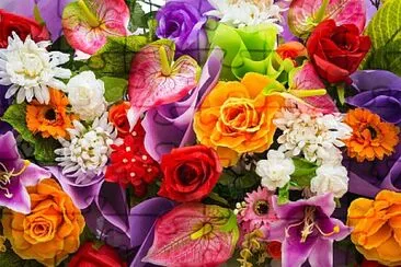 Fleurs de toutes les couleurs