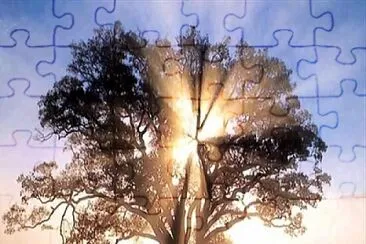 arbol jigsaw puzzle