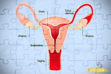 Sistema reprodutor feminino