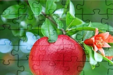 imagem jigsaw puzzle