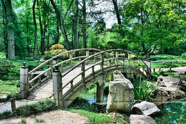 puente en el parque