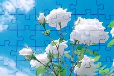 花 jigsaw puzzle