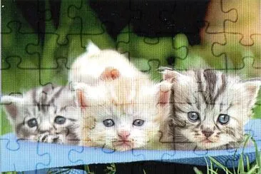  jigsaw puzzle