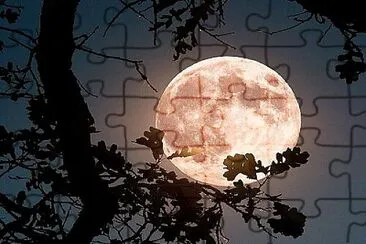 Moon jigsaw puzzle