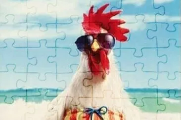 gallo jigsaw puzzle