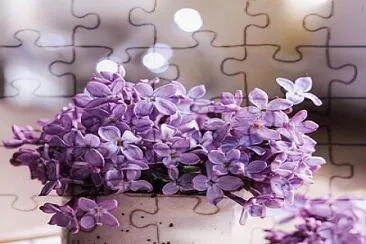 Imm jigsaw puzzle