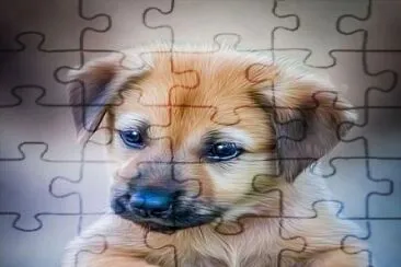  jigsaw puzzle