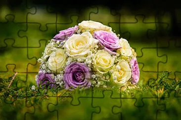  jigsaw puzzle