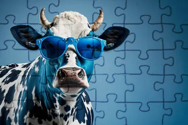 cool cow