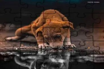 Reflejo jigsaw puzzle