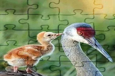 Secreto jigsaw puzzle