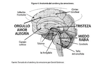 EDUCACIÓN EMOCIONAL: jigsaw puzzle