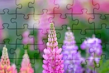 Toy jigsaw puzzle