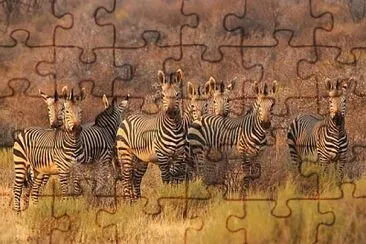 pop jigsaw puzzle