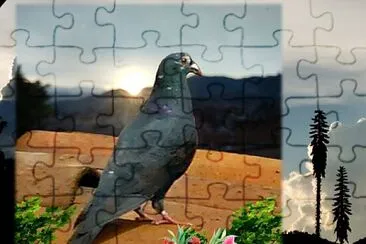 Príncipe jigsaw puzzle