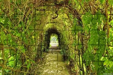 פאזל של Tunnel de feuillages dans le parc du château du Cl