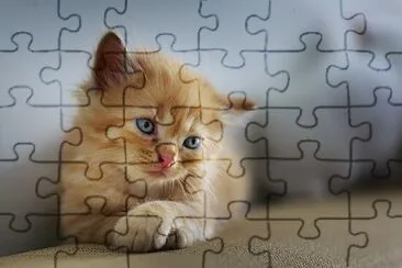  jigsaw puzzle