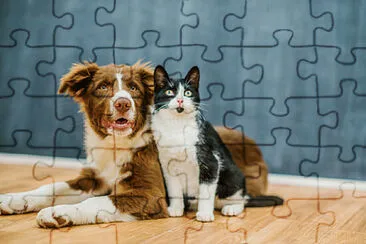 Toy jigsaw puzzle