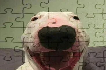 a jigsaw puzzle