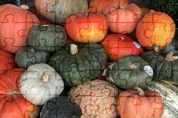 Autumn pumpkins piled high