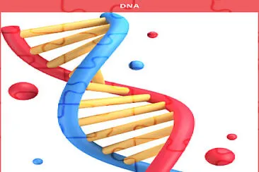 O DNA armazena informações genéticas. jigsaw puzzle