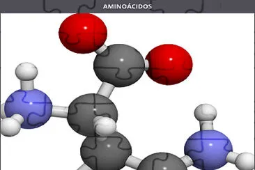 São blocos de construção da  proteínas. jigsaw puzzle